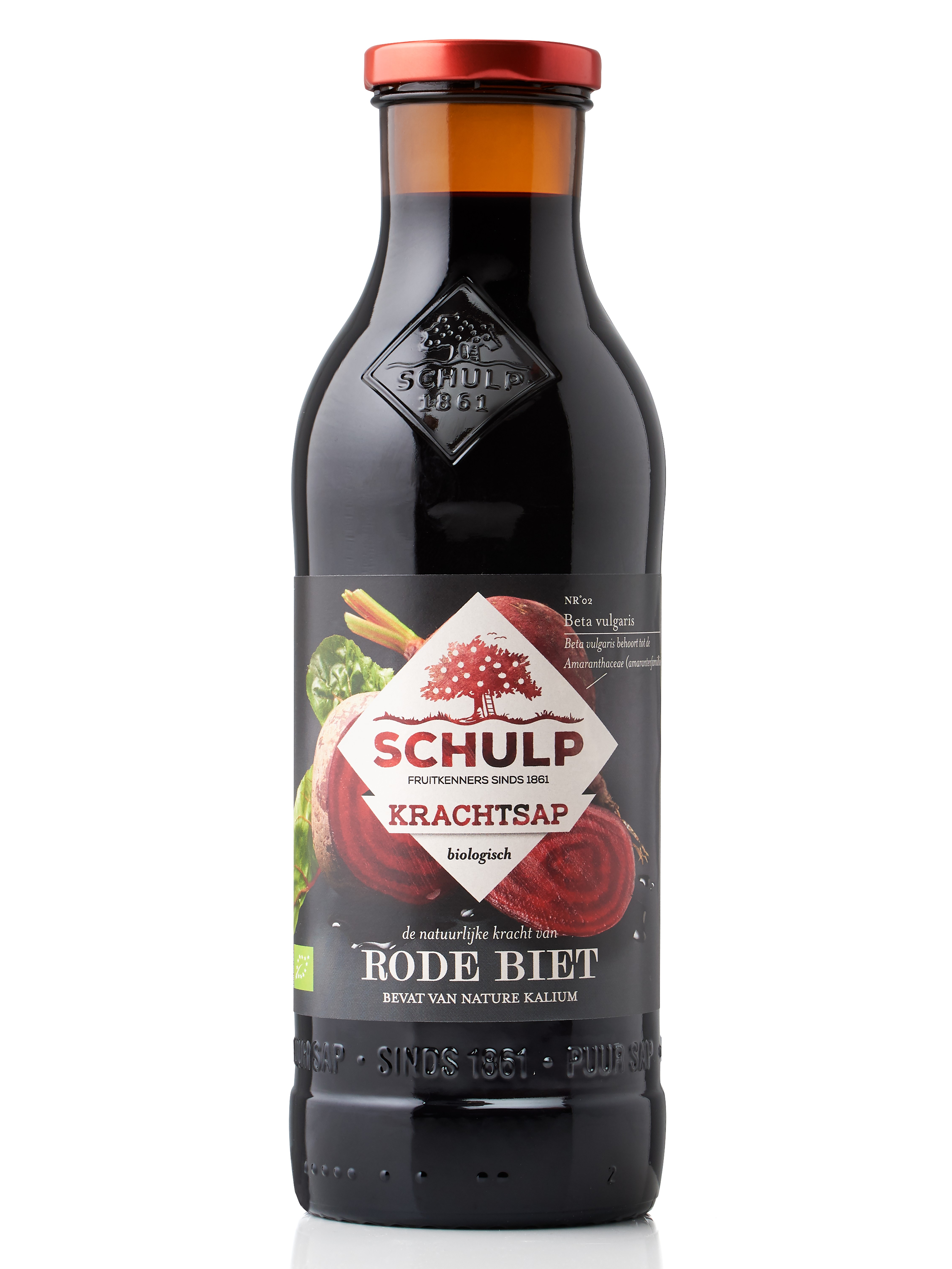 schulp krachtsap rode bieten