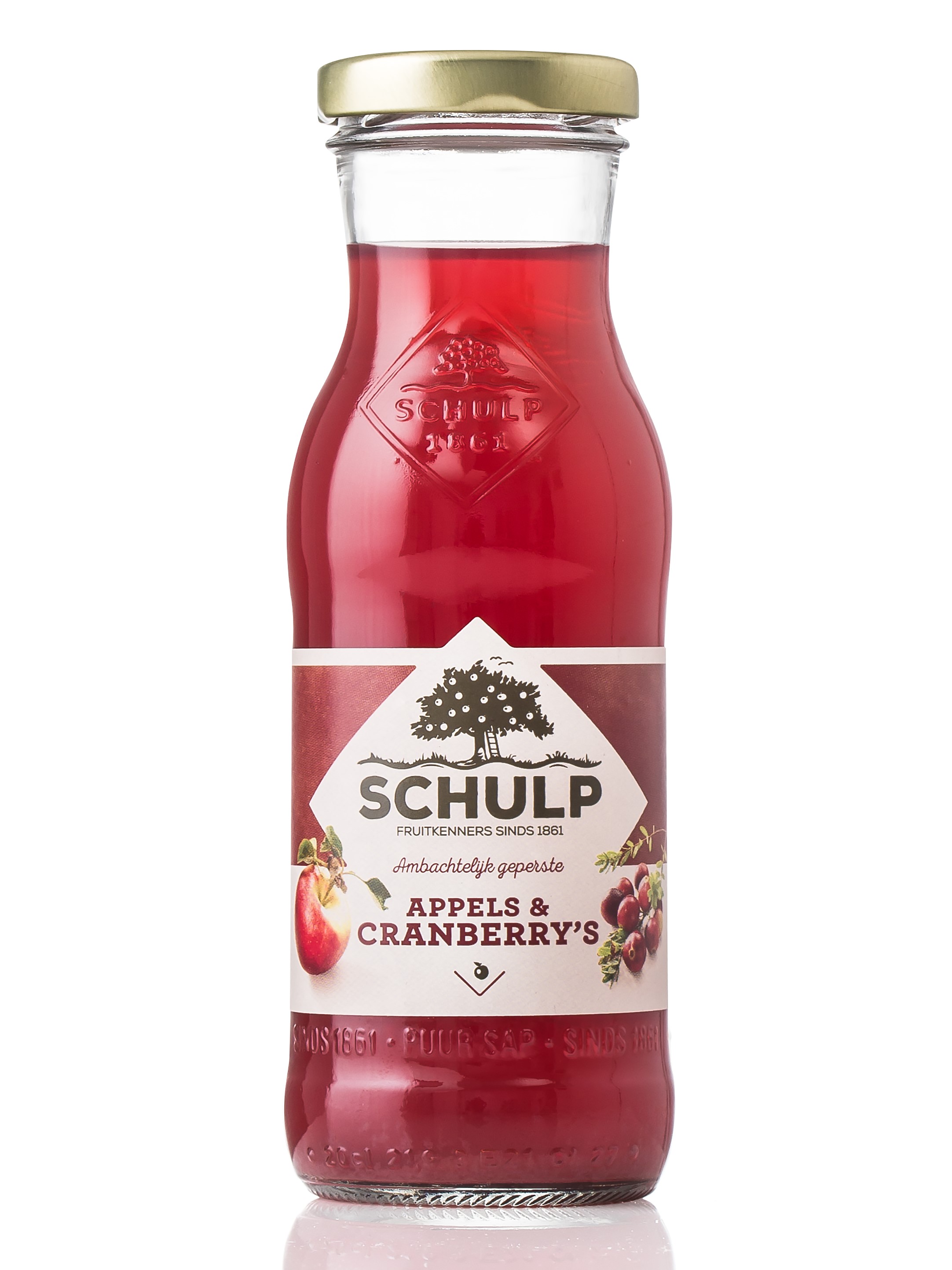 schulp horecafles appel cranberrysap